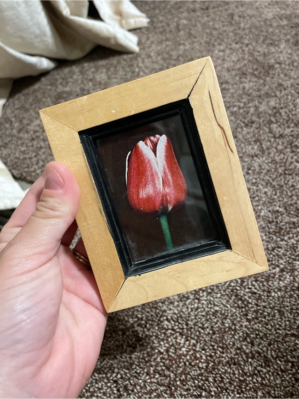 Vintage 1949 tulip print in wooden frame about 4.5x3.5